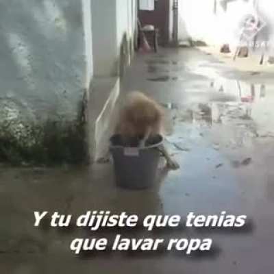 Anoche tuve un sueño extraño...