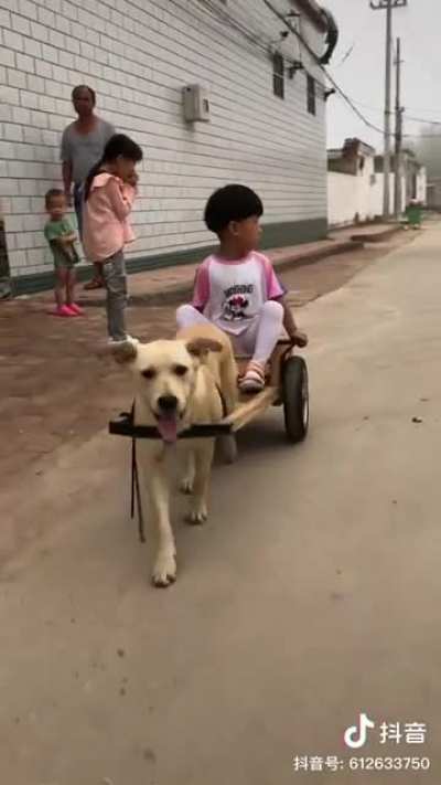 Comfort ride