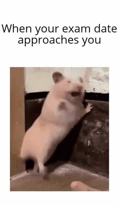 Exam memes go brrrrrrrr