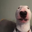 i-