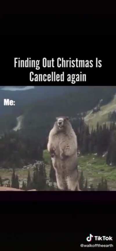 A squirrel screaming. That's it.