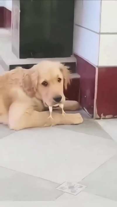 I didn't try to eat it) it just fell into my mouth 