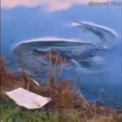 Literally Terror