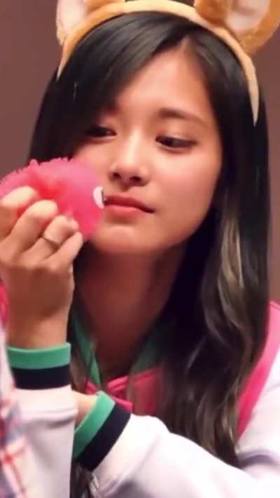 Squishy Tzuyu