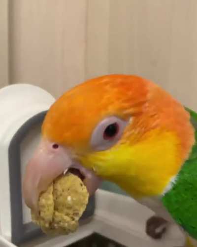 Getting a snack