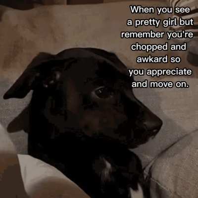 Seeing a cute girl on the train and sighing...
