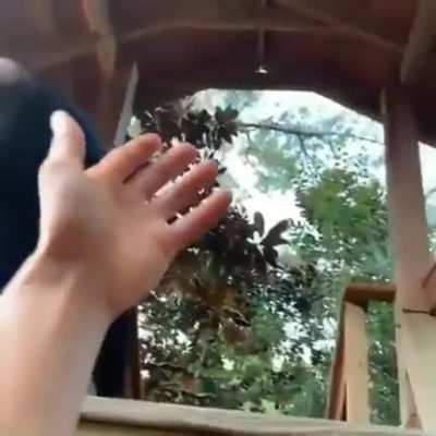 Monkeybro helps out