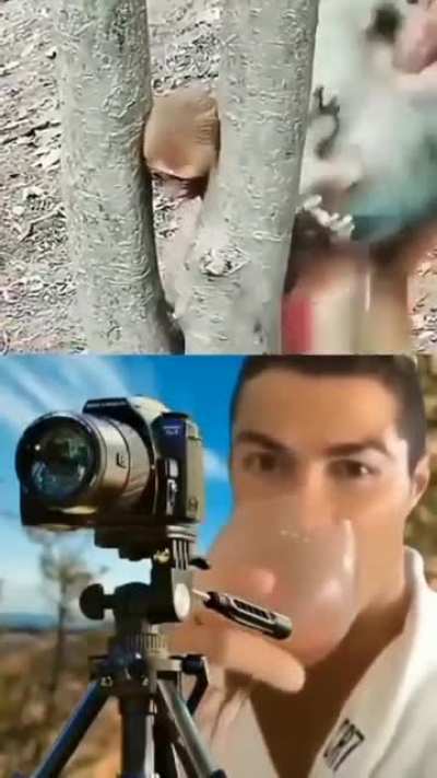 legal