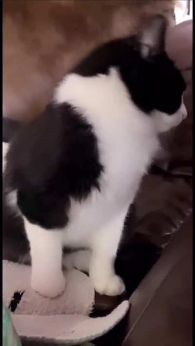 Not the camera