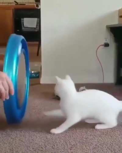Dizzily???