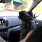 He ducks under the bridges
