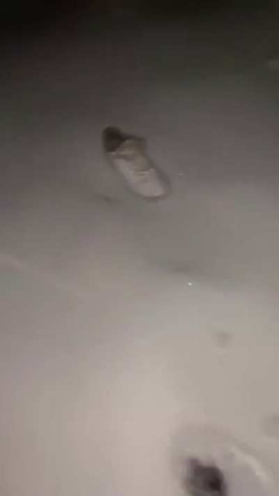 The shoe just up and left like nothing happened.