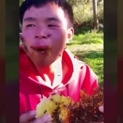 Man's determined to get that honey