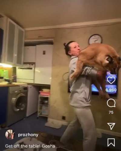 What an absolute fucking unit