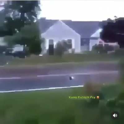 Alerta está saturado