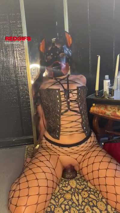 🐾✨🐶pr<wbr>etty lil breeding bitch panting in cummy bliss as her tight puppy hole gets filled up with a fat knotted cock🥩<wbr>🦴🪢✨
