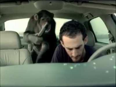 Trunk monkey