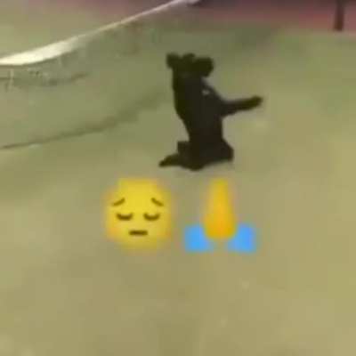 🙏