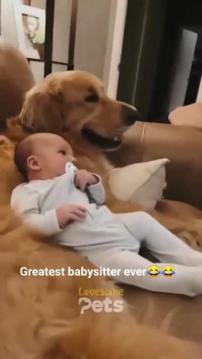 Dogs like to be with babies 🥰