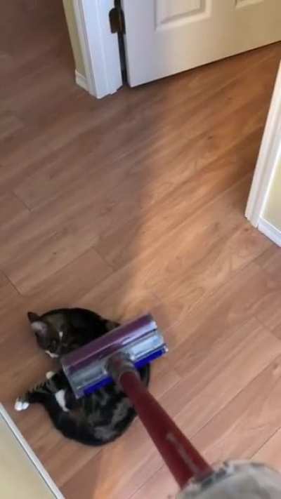 Clean me Hooman