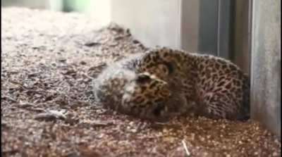 Aww :)