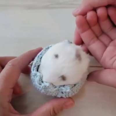 Snug fit