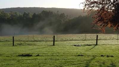 Morning mist evaporating, Calder, NW Tasmania.