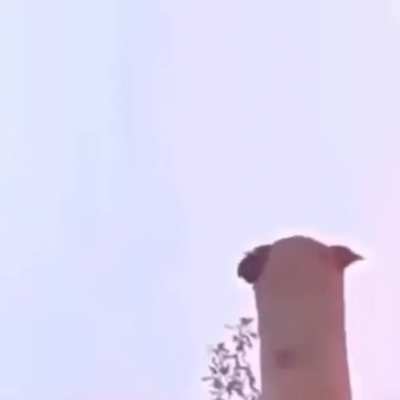 Every time I'm in the street I hear