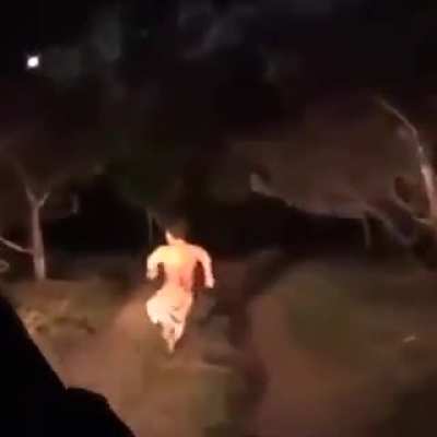 Caralho viado