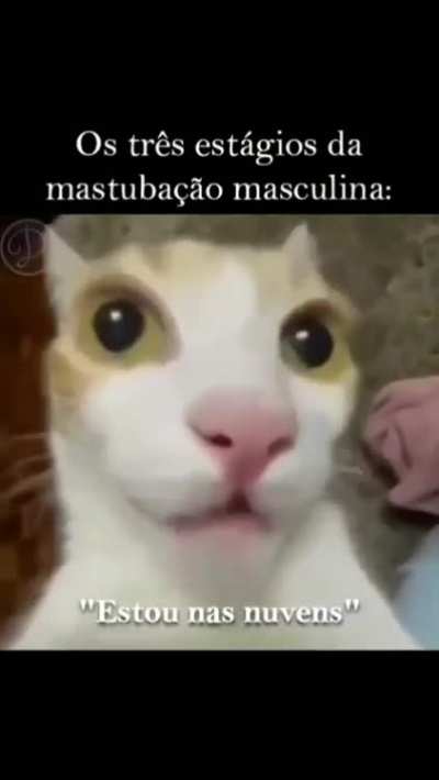 Me identifiquei