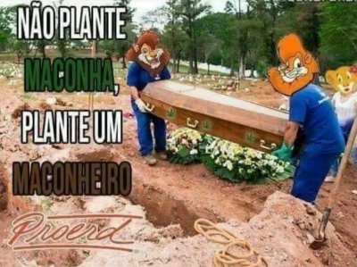 krl nunca pensei nisso