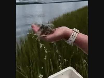 nothing to see here