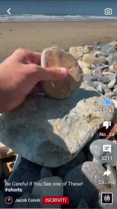 Watch till the end