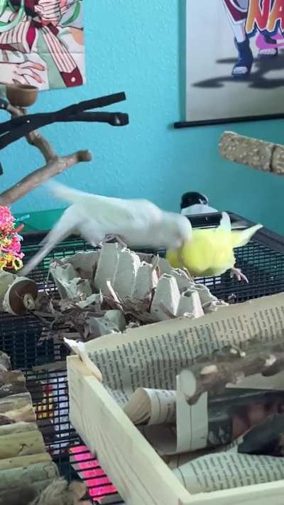 Play time