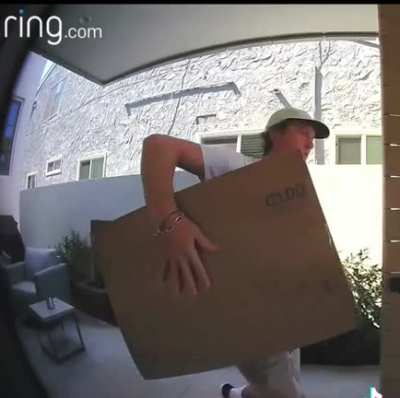 Porch pirate caught in the act