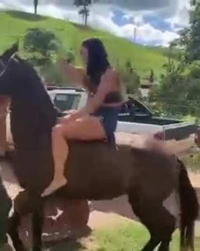 A horse's ass
