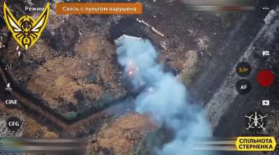 Two Russian soldiers tried to hide in a small dugout but were eliminated by an FPV drone from the Shershni unit of the 3rd SSO Regiment in the Pokrovskoye direction (published on December 30, 2024).