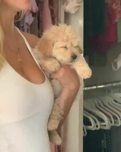 a girl and her dog