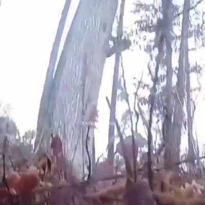 A great day out for hunting
