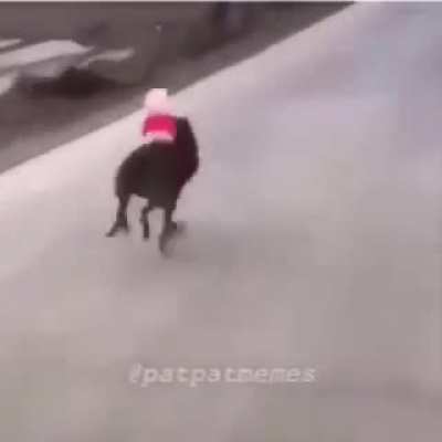 PEPPA VAQUEIRA FODA-SE KKKKKKKKKKKK