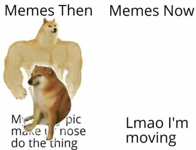 Doge go brrrrr