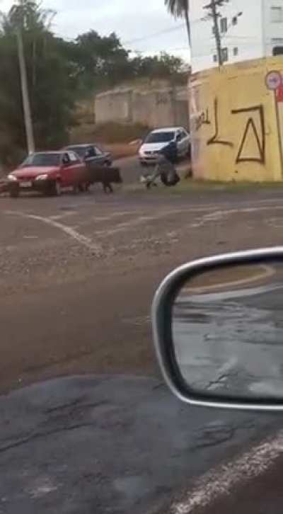 Attack of the Hogs