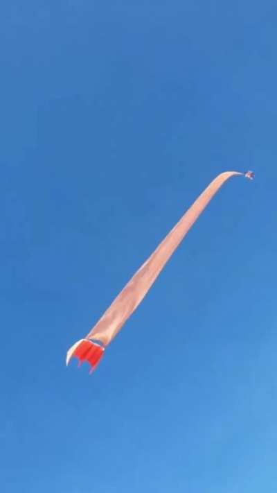 Child gets tangled in large kite tail. Takes a flight!