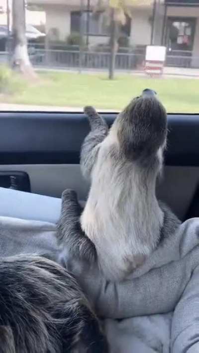 Enjoying his riding