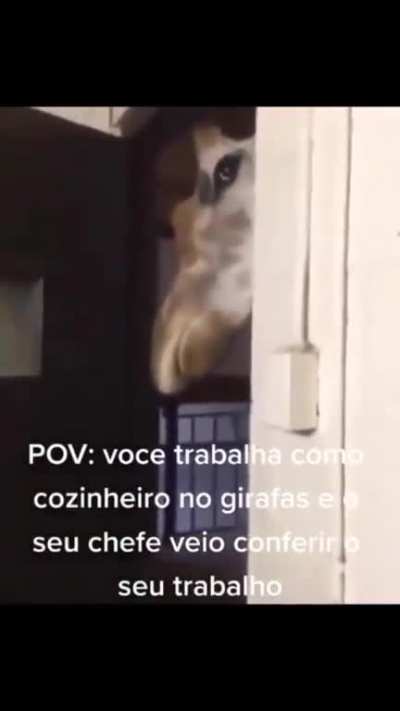 O Girafas