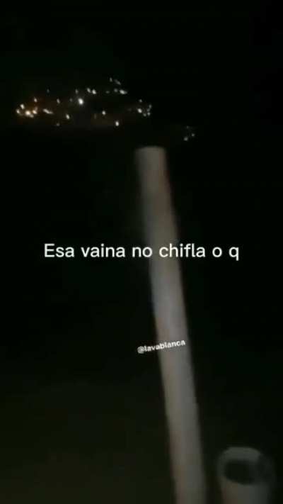 si chiflo