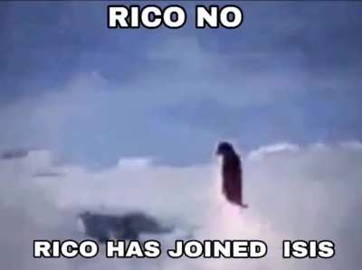 RICO NO