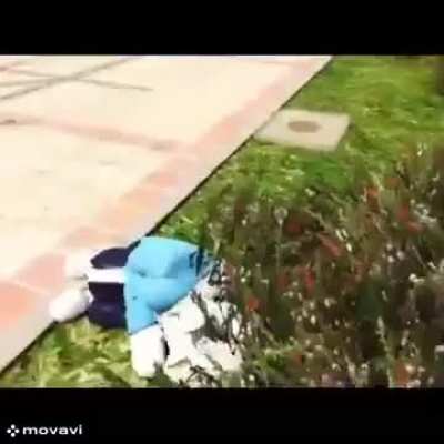 ͏