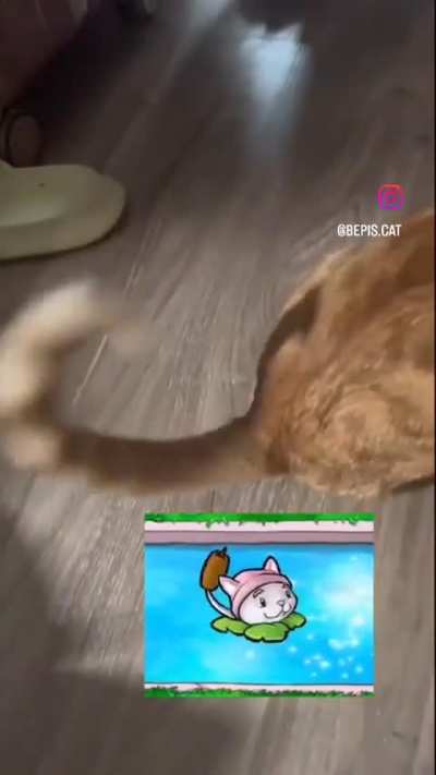 Catail