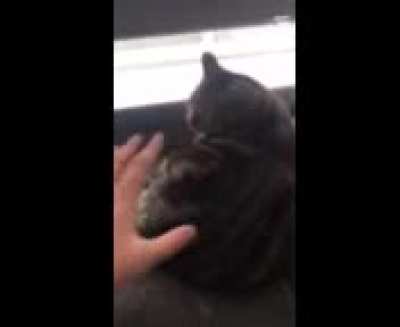 Idk if this counts but my friend found this video on his phone that he took like 4 years ago